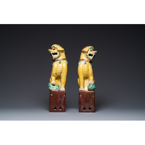 522 - A pair of large Chinese sancai-glazed Buddhist lions, 19th C.H.: 43 cm
 
 Condition: (UV-checked)- O... 