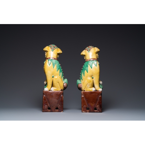 522 - A pair of large Chinese sancai-glazed Buddhist lions, 19th C.H.: 43 cm
 
 Condition: (UV-checked)- O... 