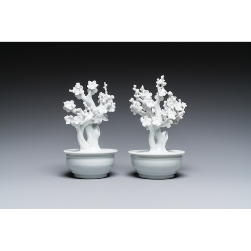 595 - A pair of Chinese blanc de Chine models of trees in jardinieres, KangxiH.: 17,5 cm