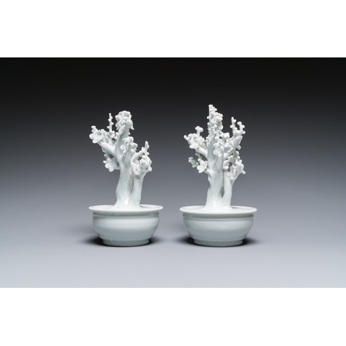 595 - A pair of Chinese blanc de Chine models of trees in jardinieres, KangxiH.: 17,5 cm