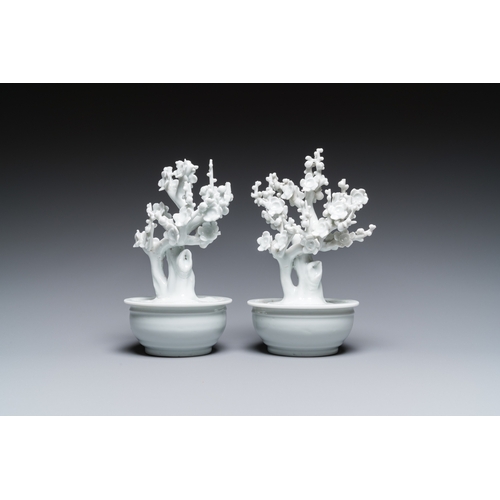 595 - A pair of Chinese blanc de Chine models of trees in jardinieres, KangxiH.: 17,5 cm