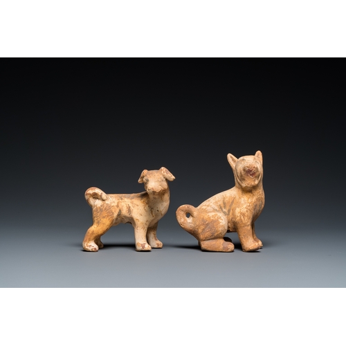 800 - Two Chinese 'mingqi' painted pottery models of dogs, HanH.: 14 cm - L.: 14 cm (the tallest)... 