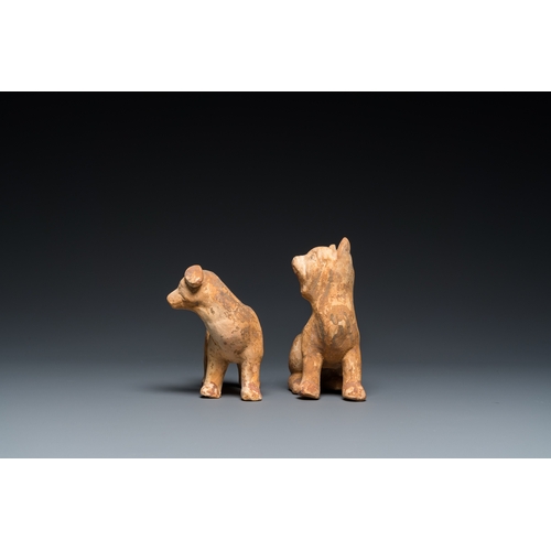 800 - Two Chinese 'mingqi' painted pottery models of dogs, HanH.: 14 cm - L.: 14 cm (the tallest)... 