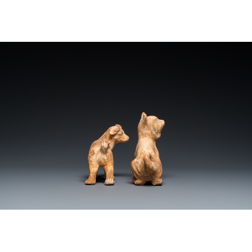 800 - Two Chinese 'mingqi' painted pottery models of dogs, HanH.: 14 cm - L.: 14 cm (the tallest)... 