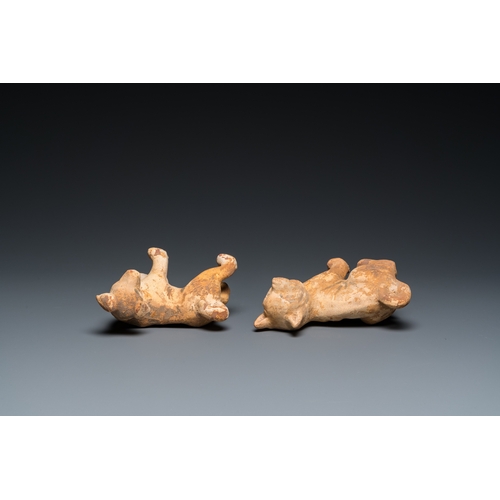 800 - Two Chinese 'mingqi' painted pottery models of dogs, HanH.: 14 cm - L.: 14 cm (the tallest)... 