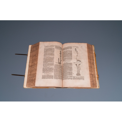 1254 - Dodoens, R.: 'Cruydt-boeck volghens sijne laetste verbeteringhe', 1644Dim.: 40 x 27,5 x 10 cm (outer... 