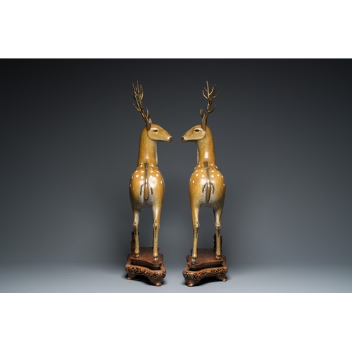 45 - A very fine and large pair of Chinese cloisonne models of deer on reticulated wooden stands, 19th C.... 