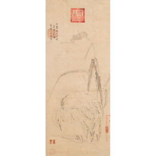 96 - Chinese school, anonymous, in the collection of Shi Min å²æ (1415-?): 'Heron and acorus', waterco... 