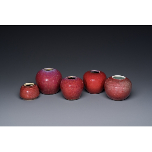 140 - Five Chinese copper-red and flambe-glazed water pots, 19th C.Description:H.: 7,5 cm (the tallest)Con... 