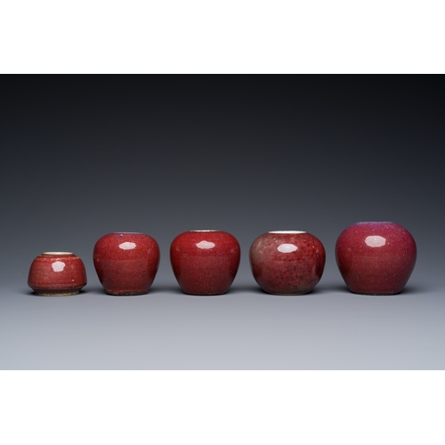 140 - Five Chinese copper-red and flambe-glazed water pots, 19th C.Description:H.: 7,5 cm (the tallest)Con... 