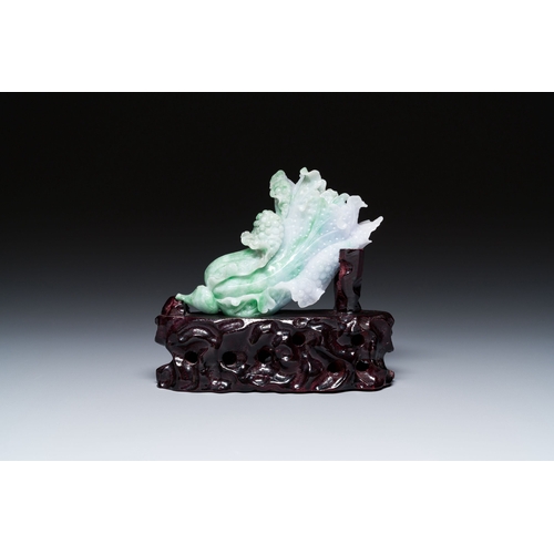 477 - A Chinese jadeite carving of a cabbage on wooden stand, RepublicDescription:Dim.: 14 x 13 x 5,5 cm (... 