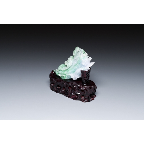 477 - A Chinese jadeite carving of a cabbage on wooden stand, RepublicDescription:Dim.: 14 x 13 x 5,5 cm (... 