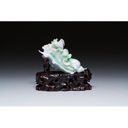 477 - A Chinese jadeite carving of a cabbage on wooden stand, RepublicDescription:Dim.: 14 x 13 x 5,5 cm (... 