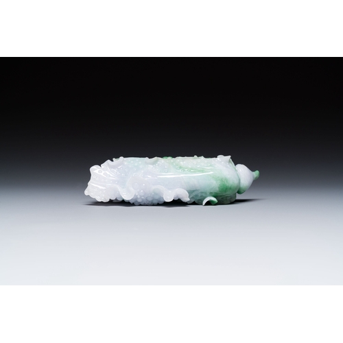 477 - A Chinese jadeite carving of a cabbage on wooden stand, RepublicDescription:Dim.: 14 x 13 x 5,5 cm (... 