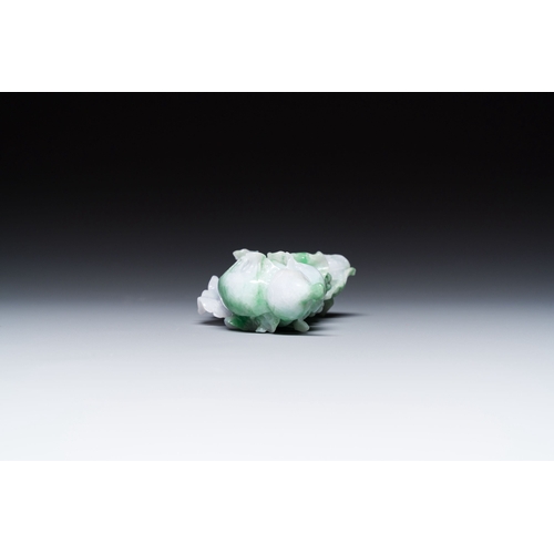 477 - A Chinese jadeite carving of a cabbage on wooden stand, RepublicDescription:Dim.: 14 x 13 x 5,5 cm (... 