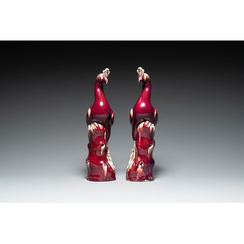 149 - A pair of Chinese flambe-glazed models of peacocks on wooden stands, 19th C.H.: 45,5 cm (incl. stand... 