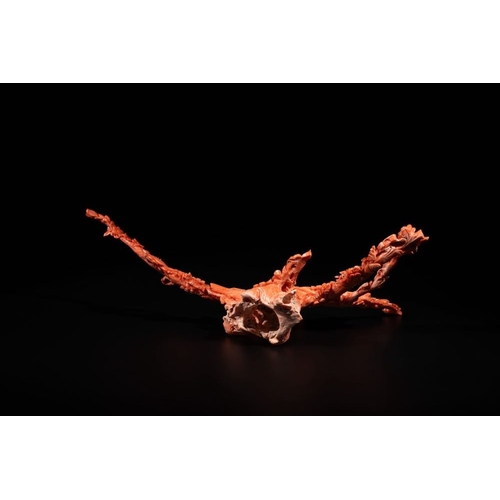 124 - A Chinese red coral group of birds among flowering branches, 19/20th C.L.: 35 cm - H.: 20 cm
 Weight... 