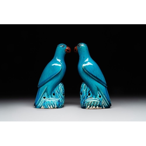 397 - A pair of Chinese turquoise-glazed parrots, 19th C.H.: 21 cm The absence of a condition report does ... 