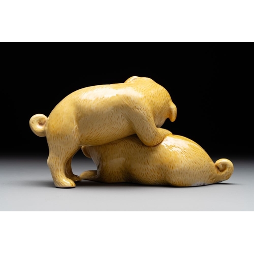 420 - A Chinese monochrome yellow-glazed group of two playing dogs, 19th C.L.: 17 cm - H.: 10 cmThe absenc... 