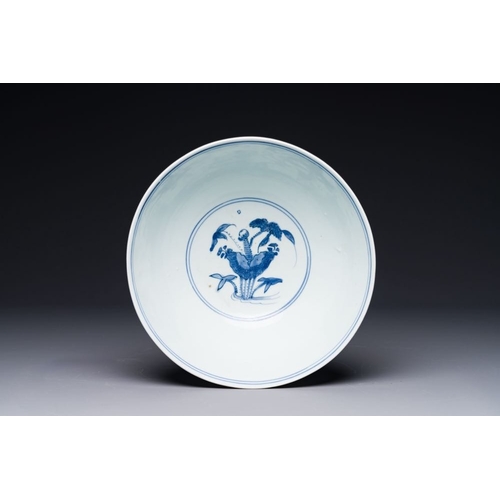 848 - A Chinese blue and white 'mandarin ducks in a lotus pond' bowl, Chenghua mark, WanliDia.: 21,5 cm - ... 