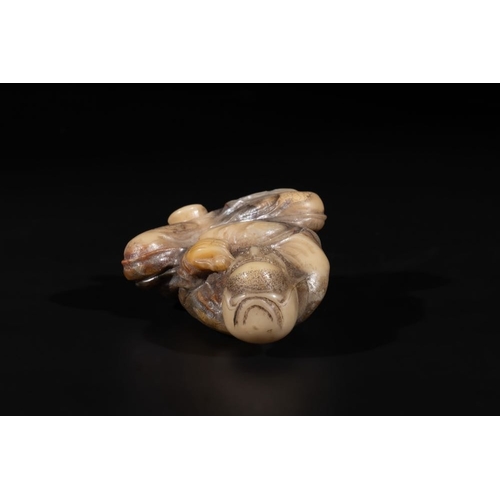 684 - A Chinese Shoushan soapstone Luohan, 18th C.H.: 8,5 cm
Weight: 181 grams... 