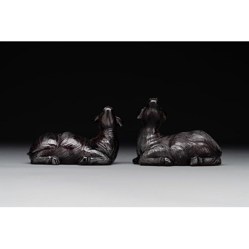 713 - A pair of Chinese cherry amber or faturan recumbent oxen on wooden stands, RepublicDim.: 7 x 3,7 x 6... 