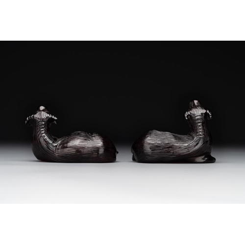 713 - A pair of Chinese cherry amber or faturan recumbent oxen on wooden stands, RepublicDim.: 7 x 3,7 x 6... 