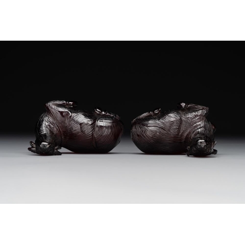 713 - A pair of Chinese cherry amber or faturan recumbent oxen on wooden stands, RepublicDim.: 7 x 3,7 x 6... 