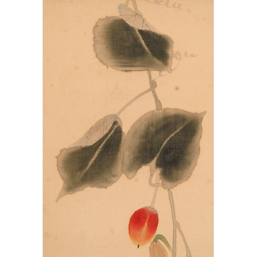 844 - Chen Peiqiu (1922-2020): 'Autumn fruit', ink and colour on silkDim.: 138,5 x 61,5 cm (the scroll) Di... 