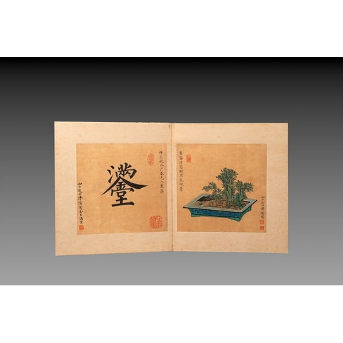 856 - Pu Xinyu (1896-1963): 'Album of bonsai', ink and colour on silkDim.: 27 x 24 x 3 cm