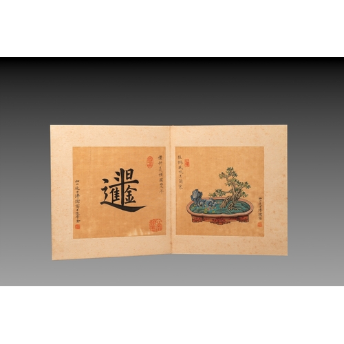 856 - Pu Xinyu (1896-1963): 'Album of bonsai', ink and colour on silkDim.: 27 x 24 x 3 cm