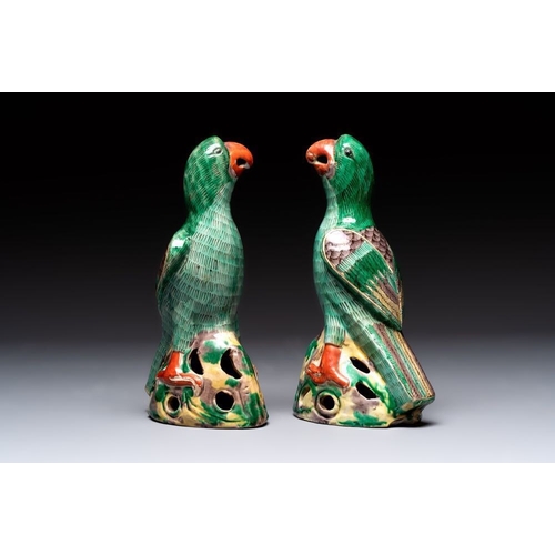 46 - A pair of Chinese sancai-glazed parrots, 19th C.H.: 22,5 cm