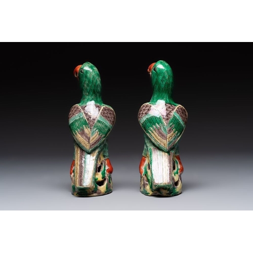 46 - A pair of Chinese sancai-glazed parrots, 19th C.H.: 22,5 cm