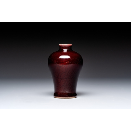 175 - A Chinese copper-red-glazed plate, a meiping vase and two water pots, Kangxi marks, 19/20th C.Dia.: ... 