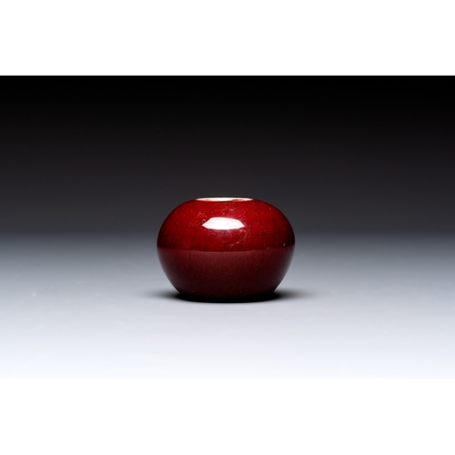 175 - A Chinese copper-red-glazed plate, a meiping vase and two water pots, Kangxi marks, 19/20th C.Dia.: ... 