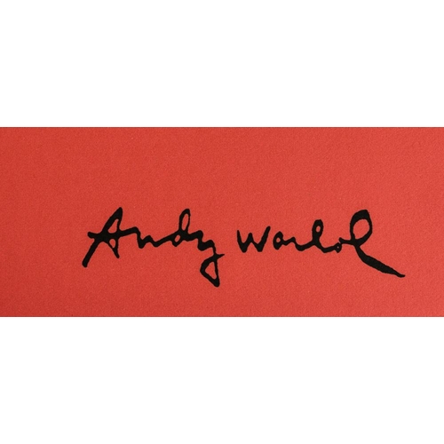 207 - Andy Warhol (after) Â