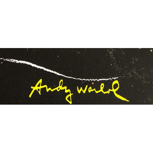 148 - Andy Warhol (after) 