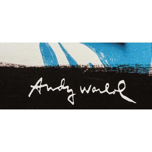 17 - Andy Warhol (after) 