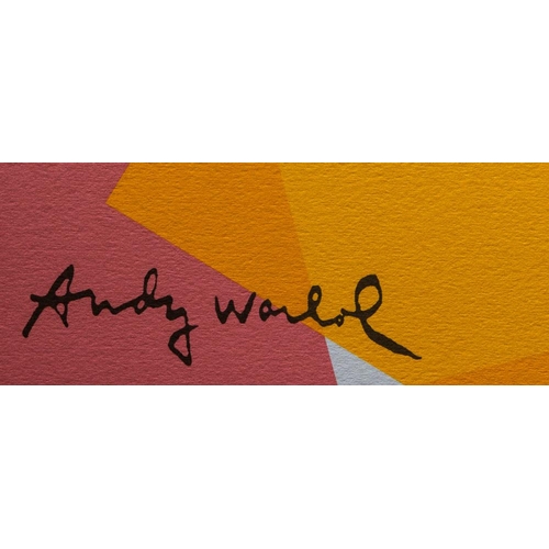 18 - Andy Warhol (after) 