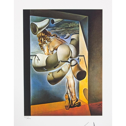 246 - Salvador Dali (after) 