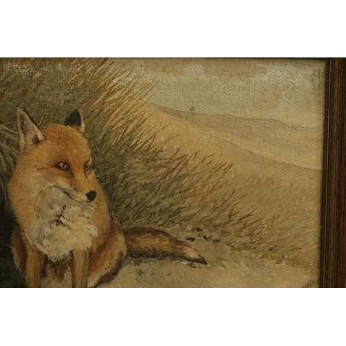 184 - Oil on Canvas by the Artist Berrisford Hill of a Fox and signed, size including frame 9.5 inches x 8... 