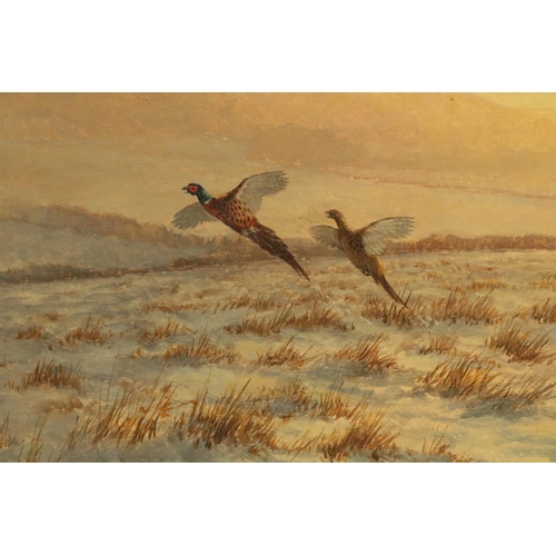 185 - Oil on Board Signed by the Artist Berrisford Hill - 2 Pheasants in fight size including frame 15.5