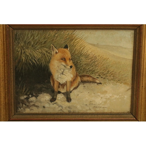 184 - Oil on Canvas by the Artist Berrisford Hill of a Fox and signed, size including frame 9.5 inches x 8... 