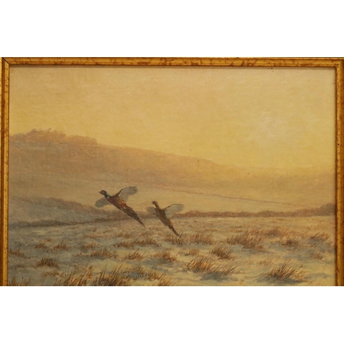 185 - Oil on Board Signed by the Artist Berrisford Hill - 2 Pheasants in fight size including frame 15.5