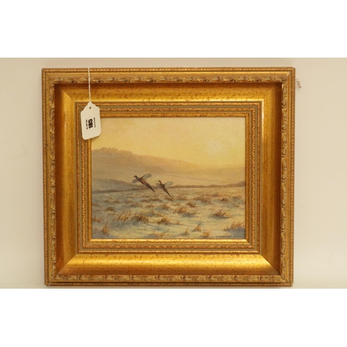 185 - Oil on Board Signed by the Artist Berrisford Hill - 2 Pheasants in fight size including frame 15.5