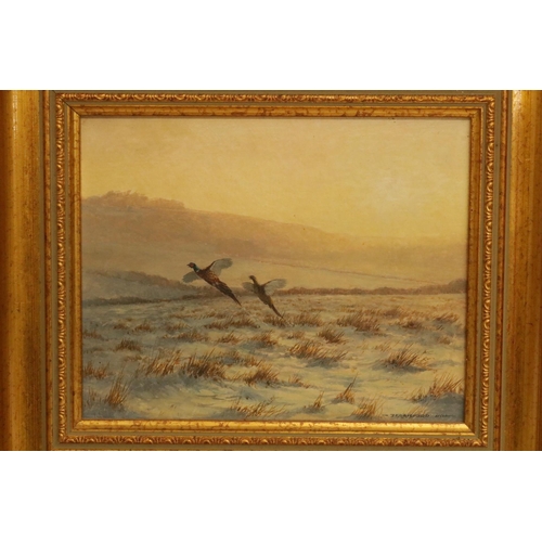 185 - Oil on Board Signed by the Artist Berrisford Hill - 2 Pheasants in fight size including frame 15.5