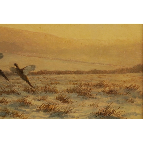 185 - Oil on Board Signed by the Artist Berrisford Hill - 2 Pheasants in fight size including frame 15.5