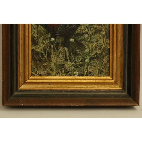 186 - A finely detailed acrylic on board by the artist Ken Turner of chickens, overall size including fram... 