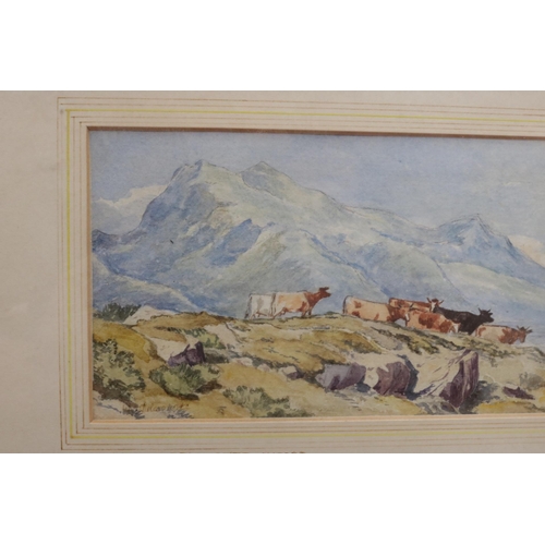 301 - Framed Watercolour by William Delamotte Depicting Cattle