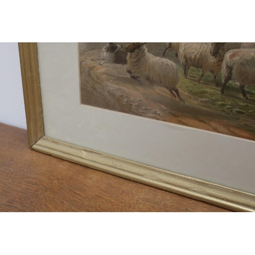 304 - Henry Birtles (British 1838 - 1907), Sheep & Cows. 18 inches x 13 1/2 inches including frame, signed... 